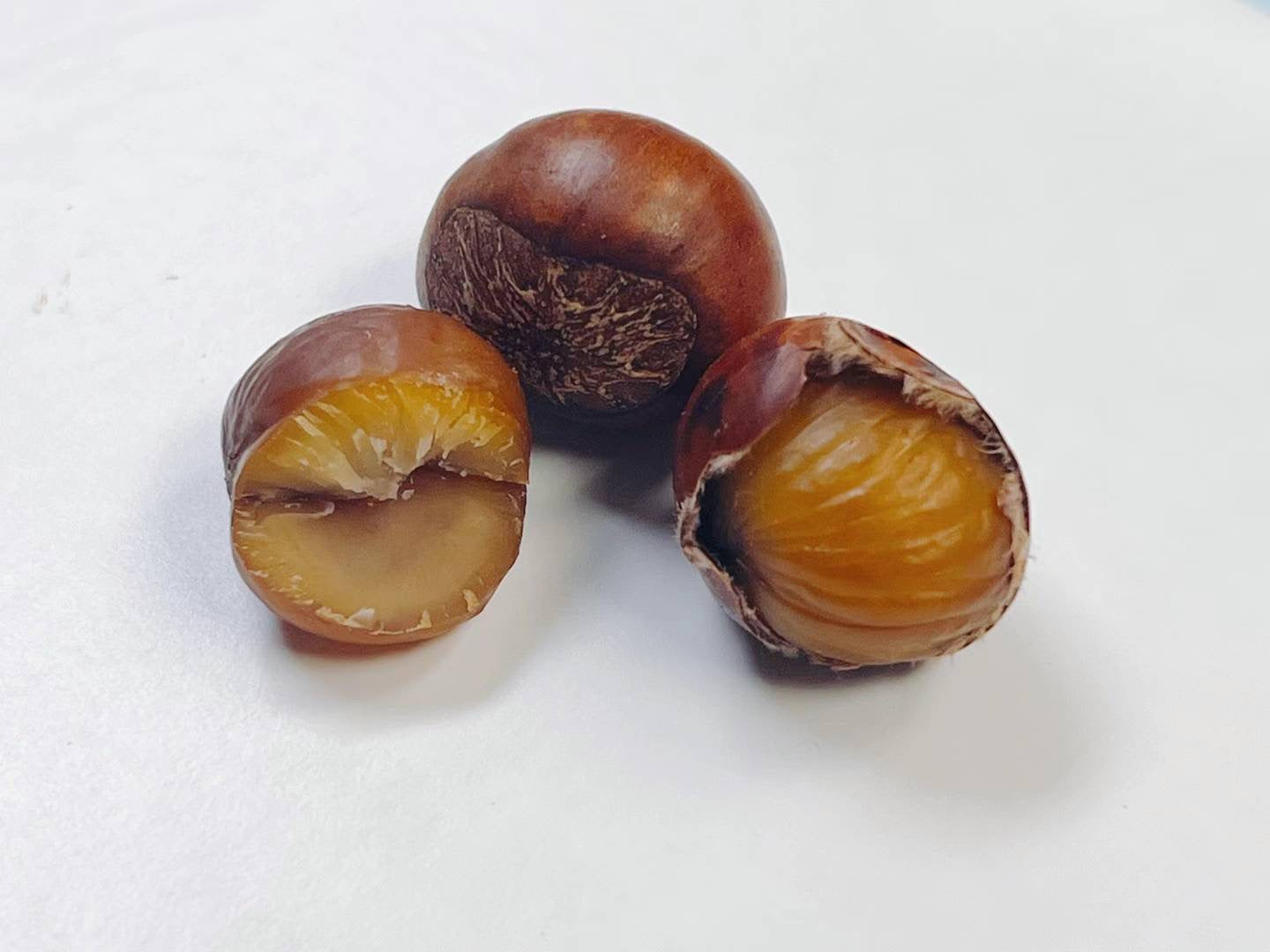 小巷口 有机 糖炒栗子 Organic Roasted Chestnut 1lb 1磅