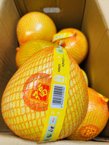 中国 红肉 沙田柚 China Honey Pomelo ~3.2lb/each