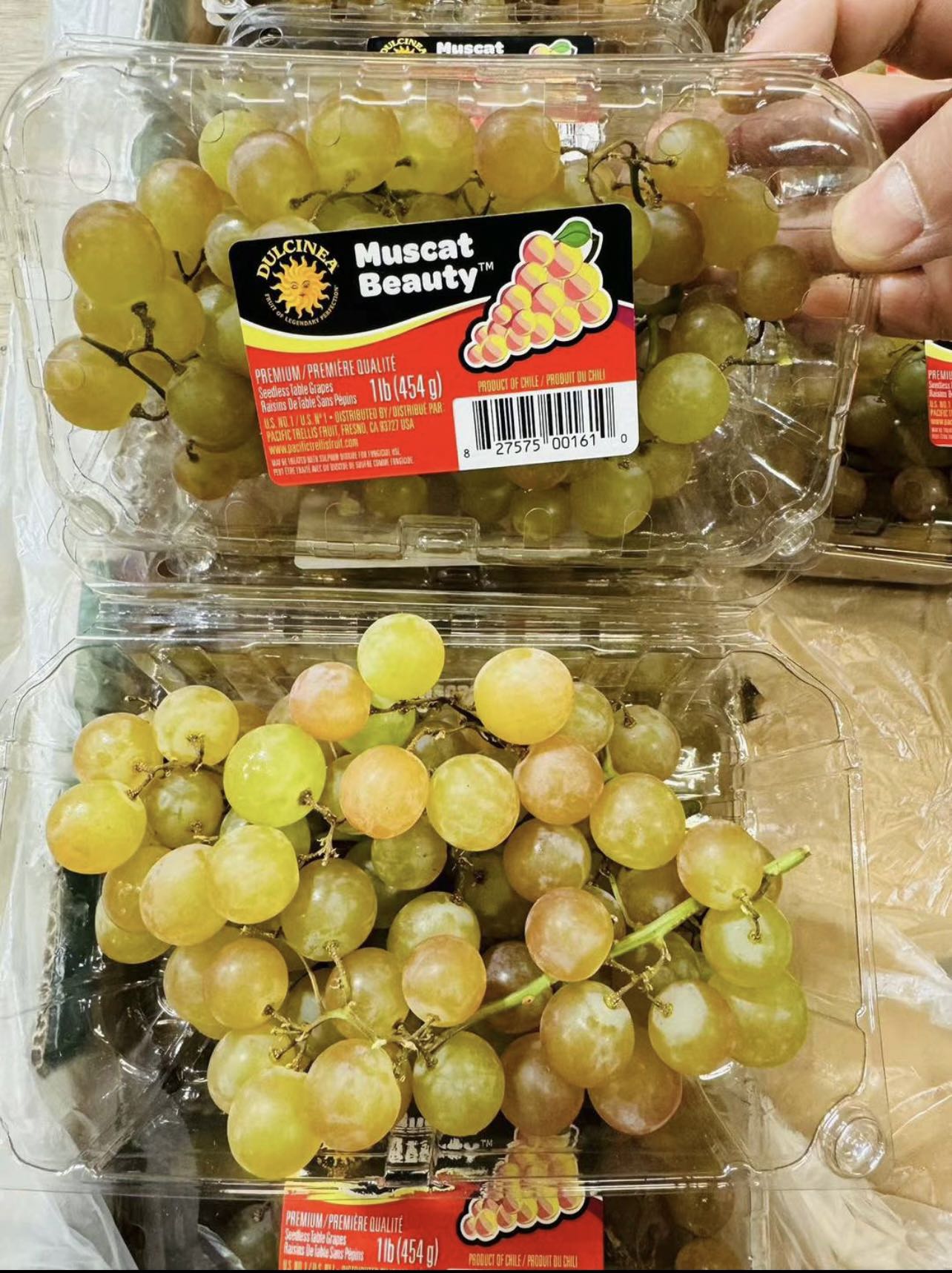 Muscat Seedless Grapes 桂花提 1lb/盒