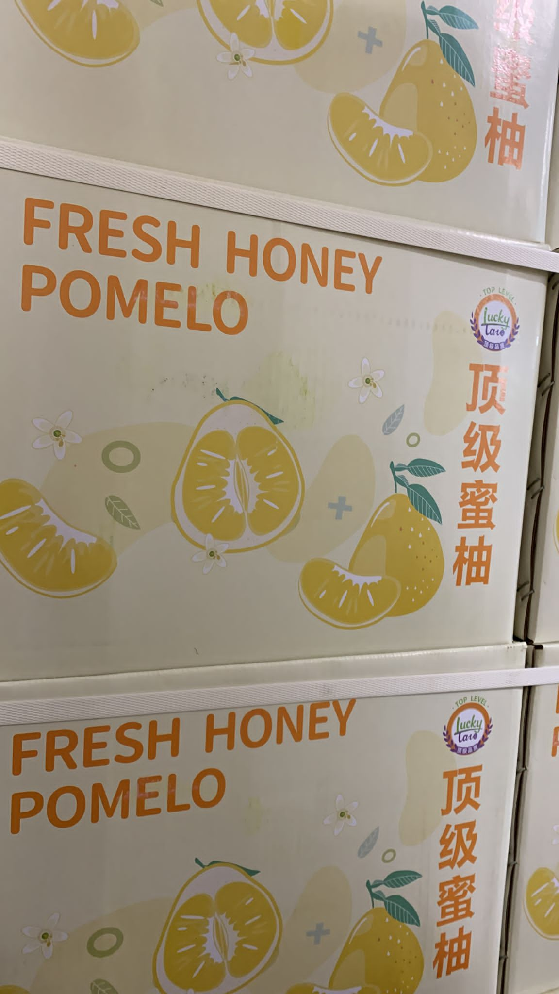 Fresh Honey Pomelo 顶级 蜜柚 1ct