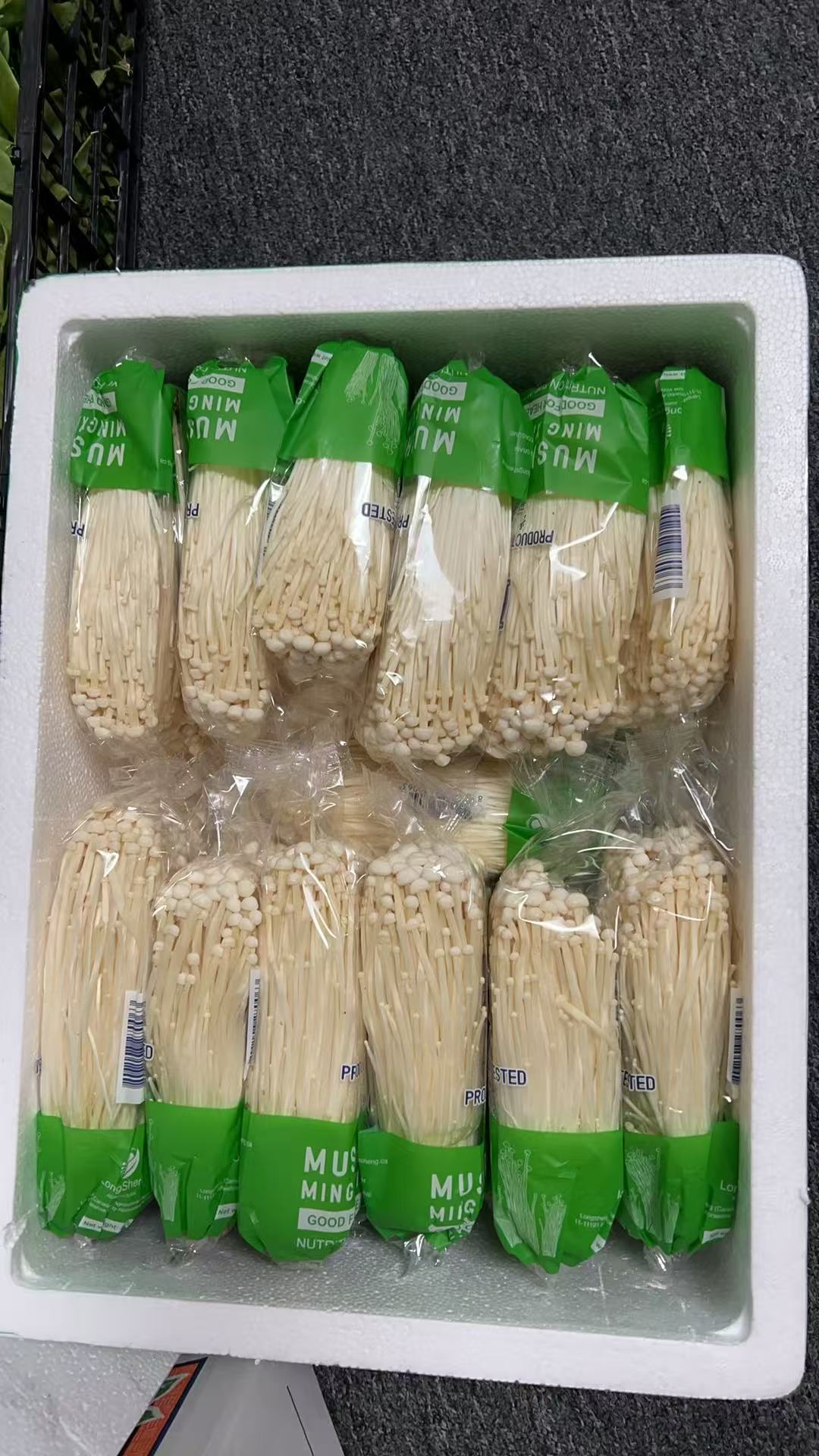 金针菇  Enoki Mushroom 1ct