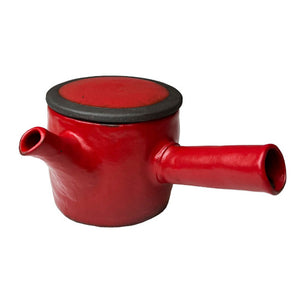 Katayama Hinata Kyusu Teapot Red 10.5 fl oz 红色 小茶壶 带滤网 日本进口