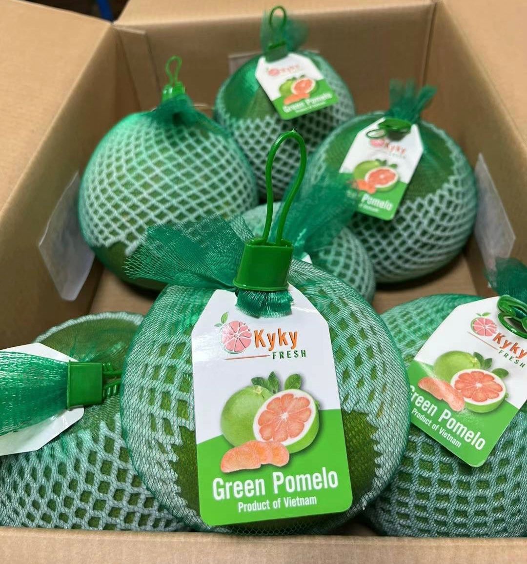 越南 红肉 沙田柚 青皮红柚 Vietnam Green Pomelo 甜柚子 1ct 青皮红柚