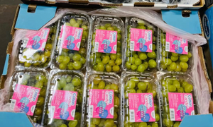 Cotton Candy Grapes 1lb 棉花糖 葡萄