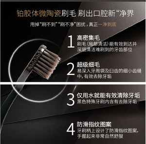 【日本齿科推荐牙刷】DentalPro牙师傅 紧致 黑毛 牙刷  Black Micro Thin Bristles Regular Toothbrush C22