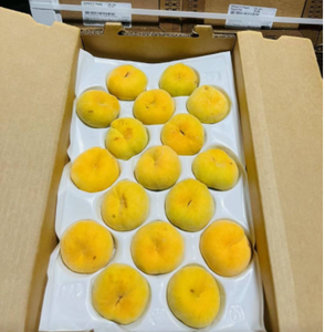 Family Tree Yellow Donut Peach 6ct 新鲜 黄色 蟠桃 扁桃 6个/份