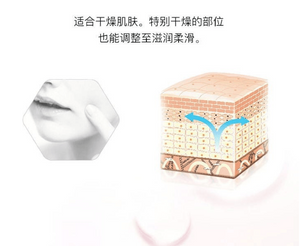 KAO 花王 CUREL 珂润 Moisturizing Care Moisture Balm 70g 深层滋润 保湿 乳霜