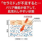 KAO 花王 CUREL 珂润 Moisturizing Care Moisture Balm 70g 深层滋润 保湿 乳霜