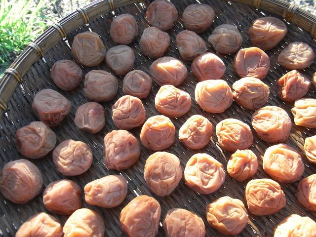 日本醃梅王樣 - Japanese Umeboshi Pickled Plum