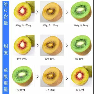 黄金 红心 奇异果 Kiwi red 25pc/box 一箱 25 个