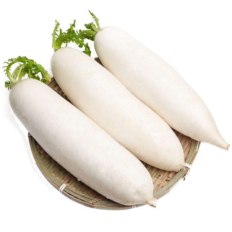 白萝卜 Daikon Bunch  一份【蔬】