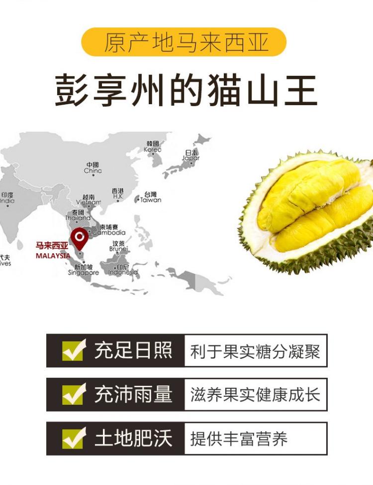 马来西亚彭亨州的猫山王榴莲 高山优质品 400g每盒