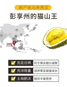 马来西亚彭亨州的猫山王榴莲 高山优质品 400g每盒