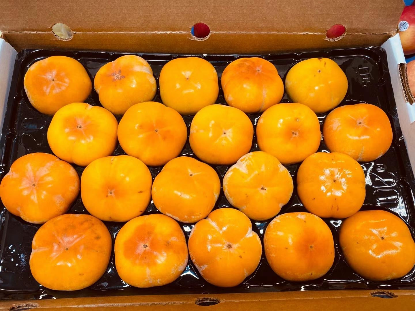 FUYU Sweet Persimmon 新鲜 甜脆 水柿 6 counts【本周特价】