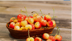 新鲜 白樱桃 Rainier Cherry  each bag