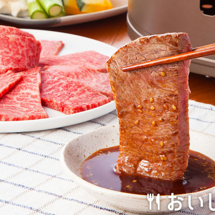 日本进口 荏原 烧烤酱汁 原味 烧烤腌肉 蘸料 炒菜 火锅