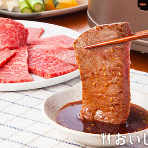 日本进口 荏原 烧烤酱汁 原味 烧烤腌肉 蘸料 炒菜 火锅