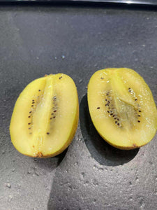 黄金猕猴桃 新西兰zespri brand gold kiwi  1.5磅【水果】