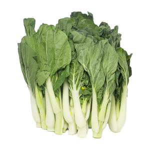 BOK CHOY SUM 白菜心 白菜苗