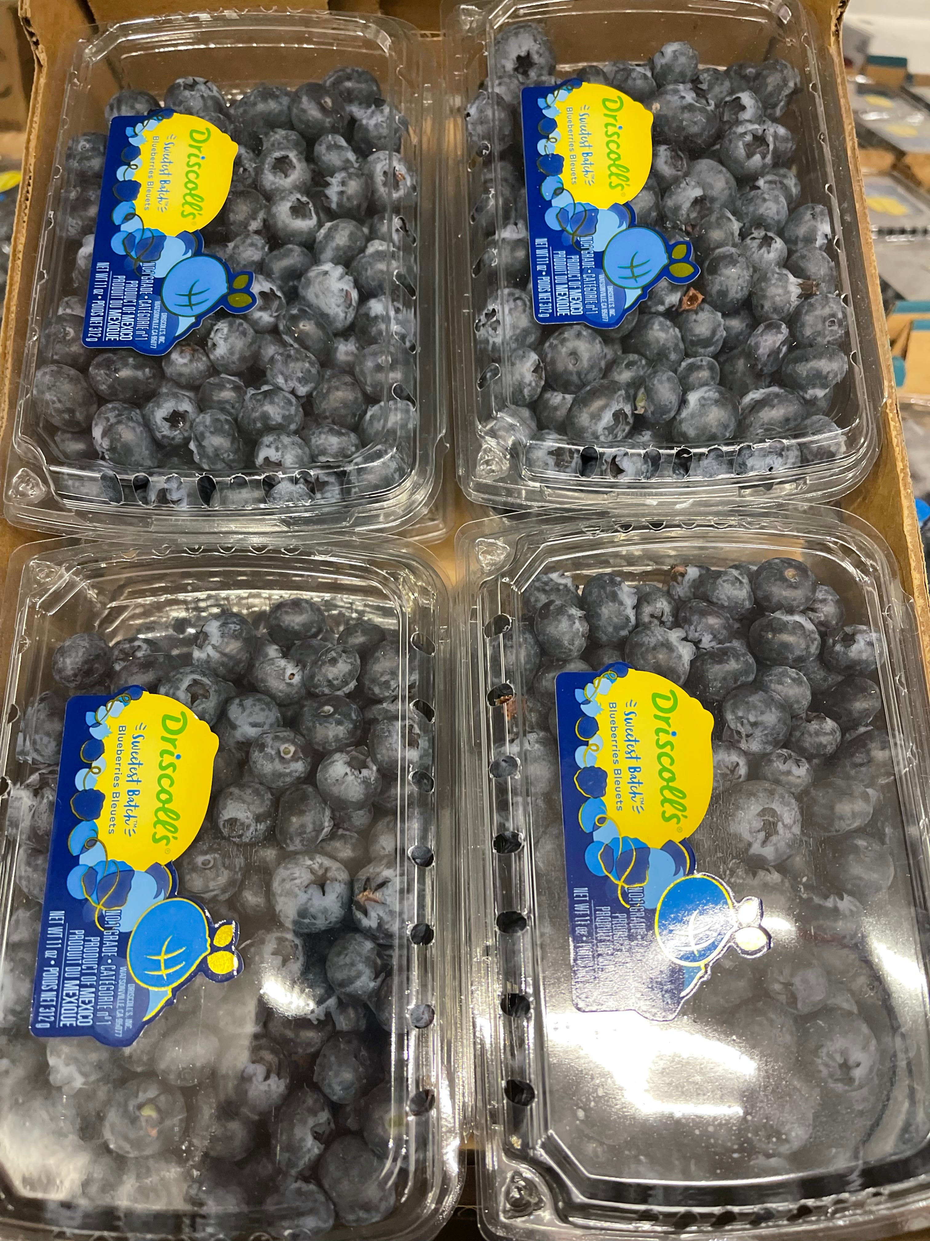 新鲜 最甜 蓝莓  Driscoll's fresh Blueberry The Sweetest Batch 11oz【水果】