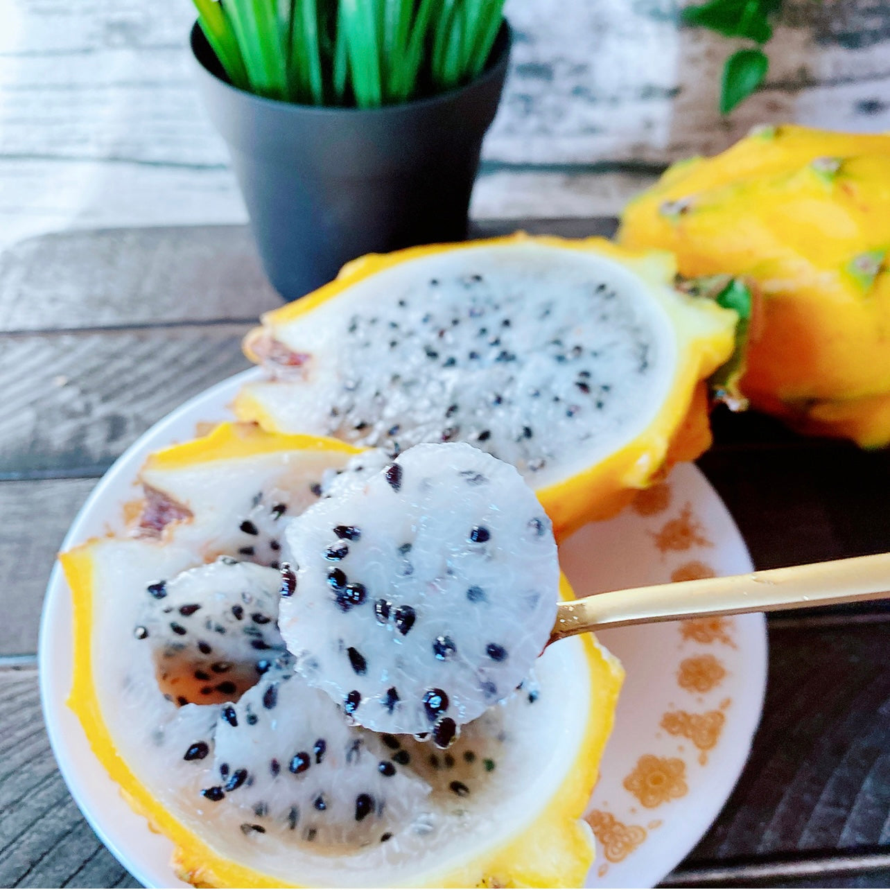 【NEW! 新到】越南空运 金泰 黄火龙果 麒麟果 Yellow Dragon Fruit 2个/份  $8.99/lb