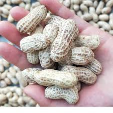 带壳 新鲜 花生 2 pound   peanuts【蔬】