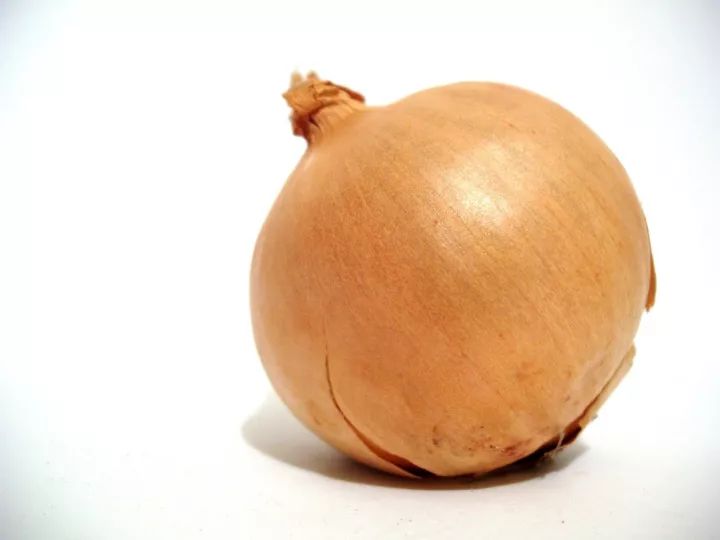 洋葱 onions