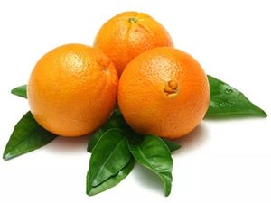 Navel Orange 内田橙 3pcs