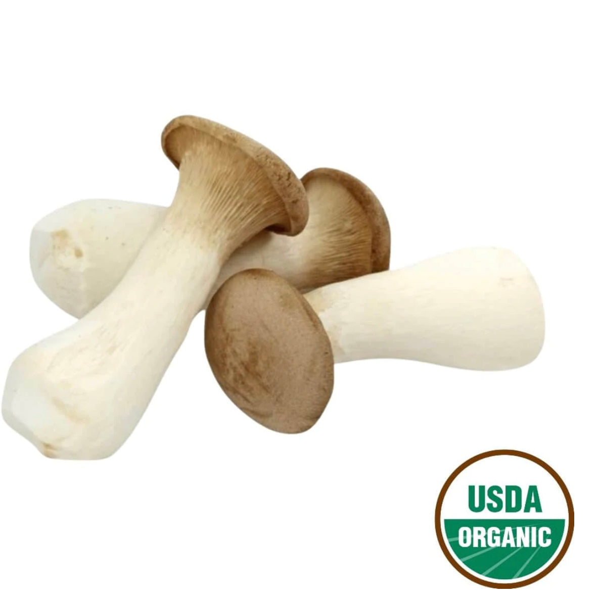 有机 杏鲍菇 王子菇 Organic baby king oyster Mushrooms – ClapSquare