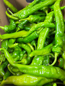 牛角椒 尖椒 辣 Green Pepper Long Hot【蔬】