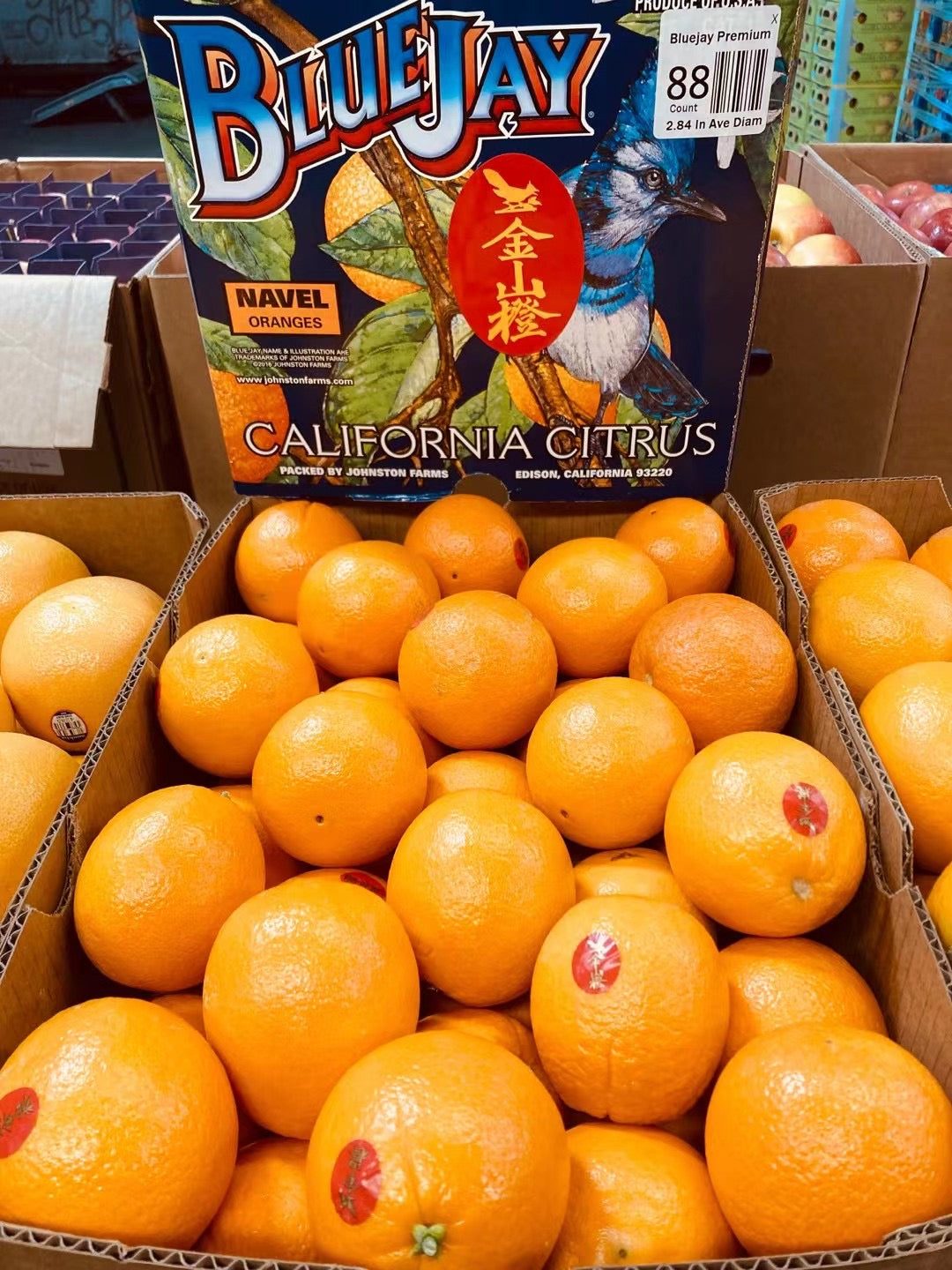 金山橙 Golden 脐橙 Navel Orange 4 pcs