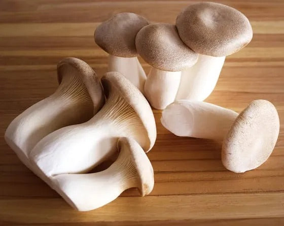 有机 杏鲍菇 王子菇 Organic baby king oyster Mushrooms – ClapSquare