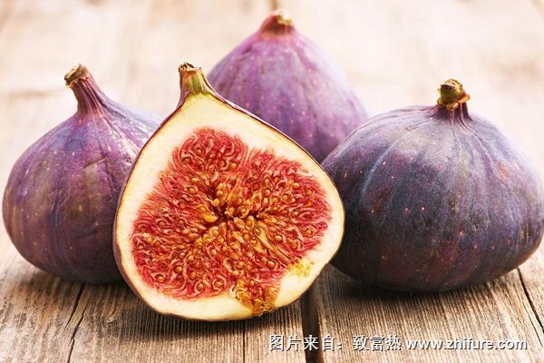 新鲜无花果 Fresh Figs