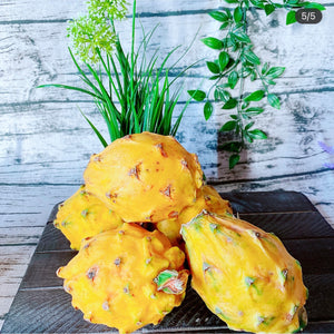 【NEW! 新到】越南空运 金泰 黄火龙果 麒麟果 Yellow Dragon Fruit 2个/份  $8.99/lb